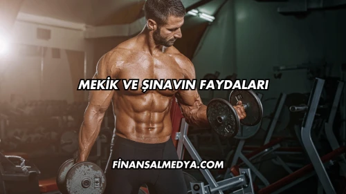 Mekik ve Şınavın Faydaları