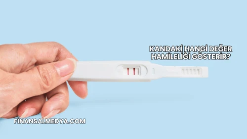 Kandaki Hangi Değer Hamileliği Gösterir?