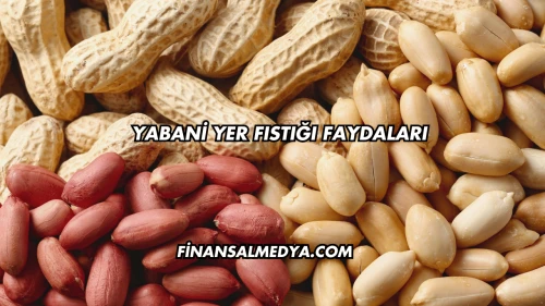 Yabani Yer Fıstığı Faydaları