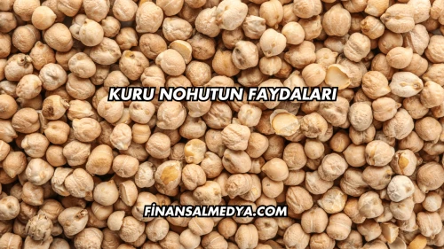 Kuru Nohutun Faydaları