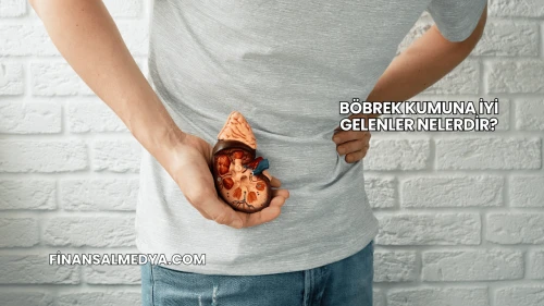 Böbrek Kumuna İyi Gelenler Nelerdir?