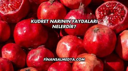 Kudret Narının Faydaları Nelerdir?