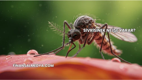 Sivrisinek Ne İşe Yarar?