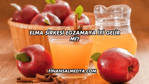 Elma Sirkesi Egzamaya İyi Gelir mi?