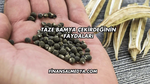Taze Bamya Çekirdeğinin Faydaları