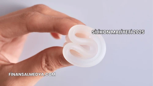 Silikon Maliyeti 2025