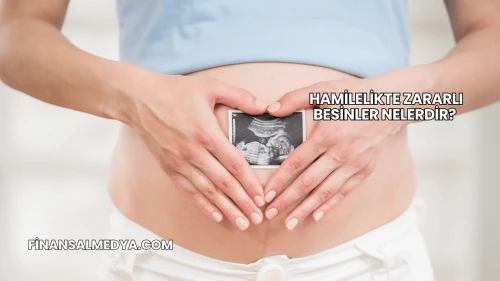 Hamilelikte Zararlı Besinler Nelerdir?