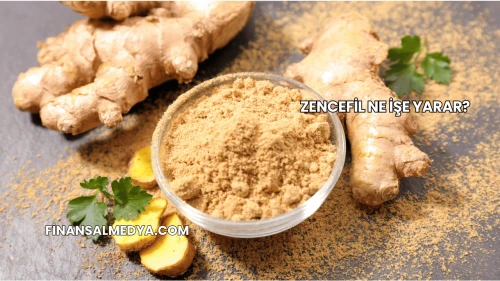 Zencefil Ne İşe Yarar?