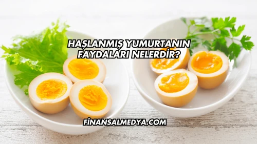 Haşlanmış Yumurtanın Faydaları Nelerdir?