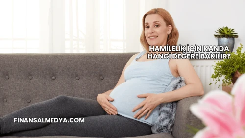 Hamilelik İçin Kanda Hangi Değere Bakılır?