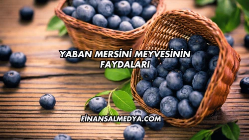 Yaban Mersini Meyvesinin Faydaları
