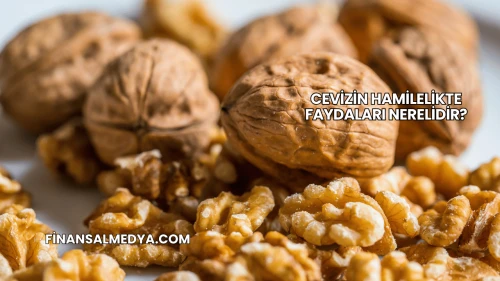 Cevizin Hamilelikte Faydaları Nerelidir?
