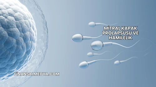 Mitral Kapak Prolapsusu ve Hamilelik