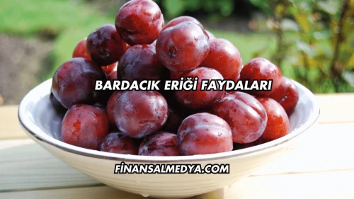 Bardacık Eriği Faydaları