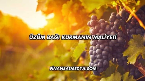 Üzüm Bağı Kurmanın Maliyeti