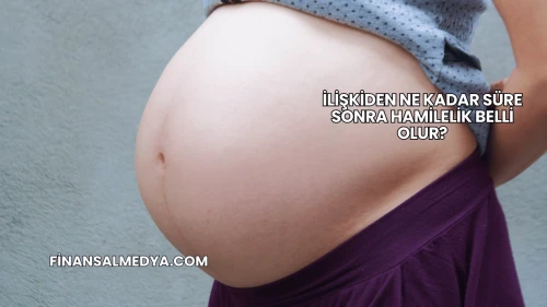 İlişkiden Ne Kadar Süre Sonra Hamilelik Belli Olur?