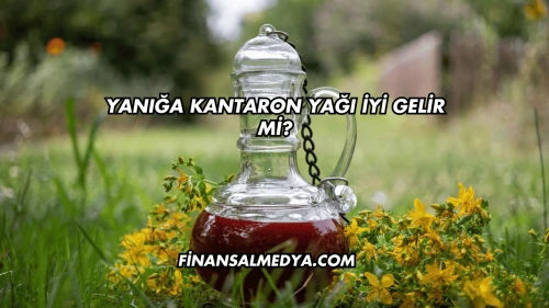 Yanığa Kantaron Yağı İyi Gelir mi?