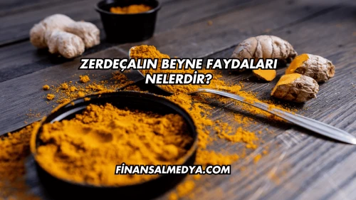 Zerdeçalın Beyne Faydaları Nelerdir?