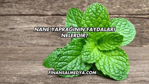 Nane Yaprağı Yağının Faydaları