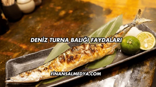 Deniz Turna Balığı Faydaları