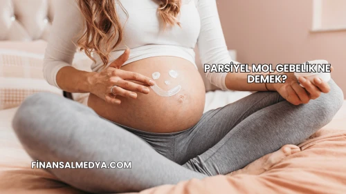 Parsiyel Mol Gebelik Ne Demek?