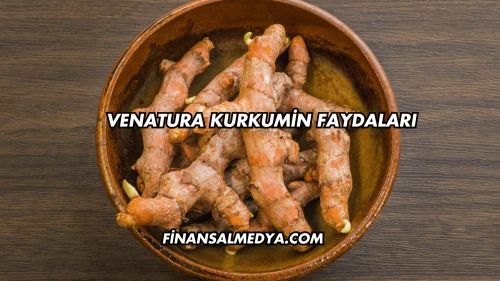 Venatura Kurkumin Faydaları