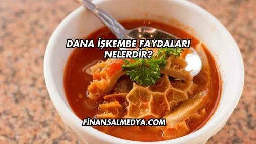 Dana İşkembe Faydaları
