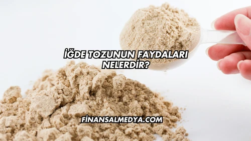 İğde Tozunun Faydaları Nelerdir?