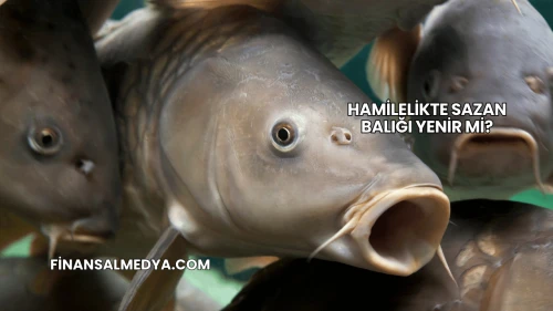 Hamilelikte Sazan Balığı Yenir mi?