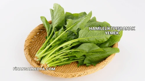 Hamilelikte Ispanak Yemek