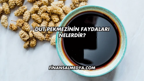 Dut Pekmezinin Faydaları Nelerdir?