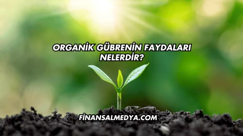 Organik Gübrenin Faydaları Nelerdir?