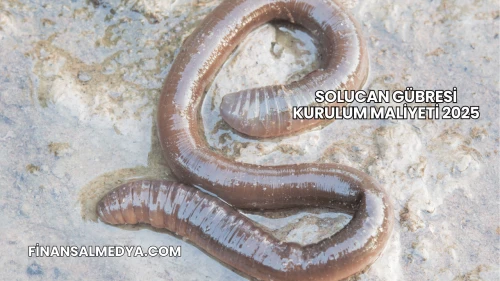 Solucan Gübresi Kurulum Maliyeti 2025