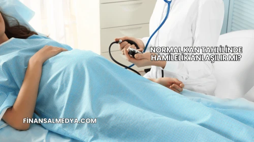 Normal Kan Tahlilinde Hamilelik Anlaşılır mı?