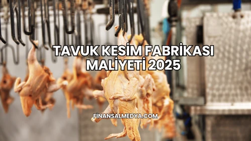 Tavuk Kesim Fabrikası Maliyeti 2025