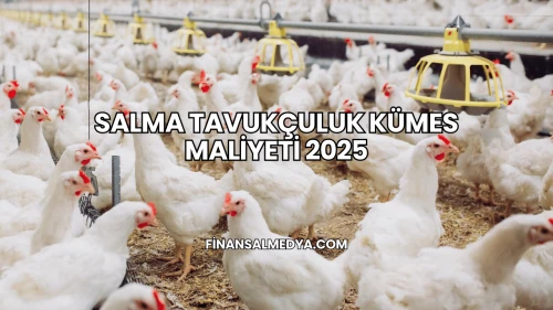 Salma Tavukçuluk Kümes Maliyeti 2025