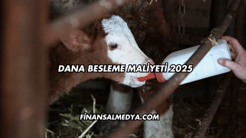 Dana Besleme Maliyeti 2025
