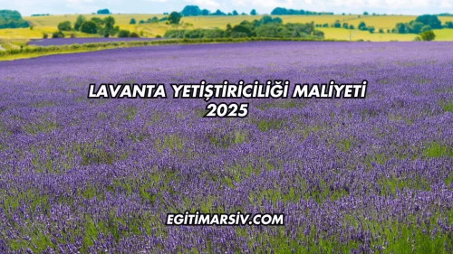 Lavanta Yetiştiriciliği Maliyeti 2025