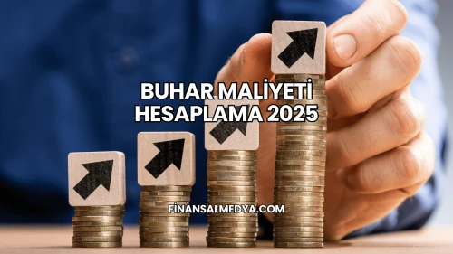 Buhar Maliyeti Hesaplama 2025