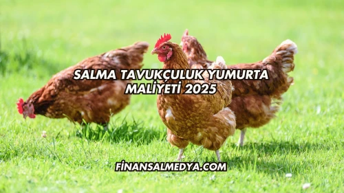 Salma Tavukçuluk Yumurta Maliyeti 2025