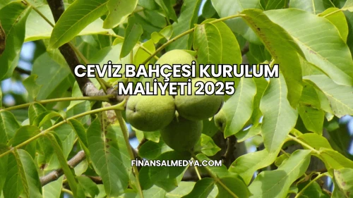 Ceviz Bahçesi Kurulum Maliyeti 2025