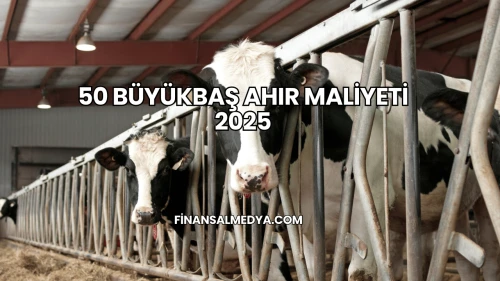 50 Büyükbaş Ahır Maliyeti 2025