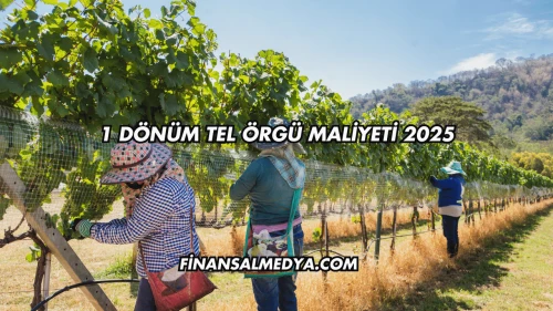 1 Dönüm Tel Örgü Maliyeti 2025