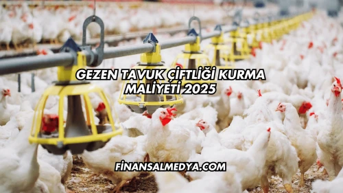 Gezen Tavuk Çiftliği Kurma Maliyeti 2025