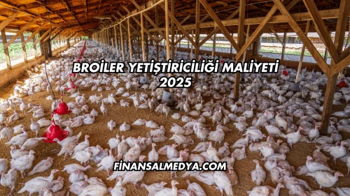 Broiler Yetiştiriciliği Maliyeti 2025