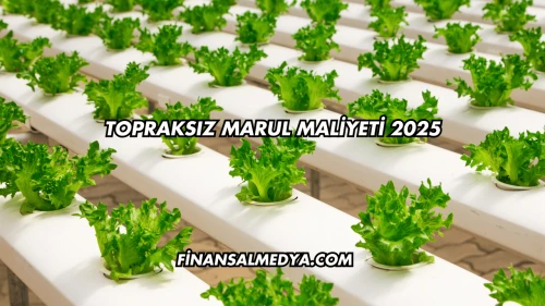 Topraksız Marul Maliyeti 2025