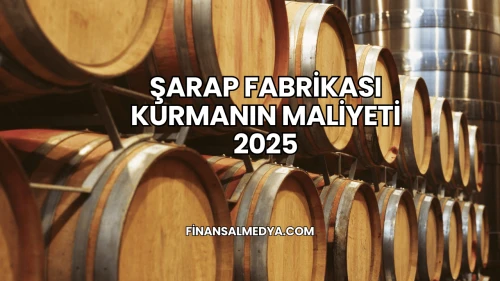 Şarap Fabrikası Kurmanın Maliyeti 2025