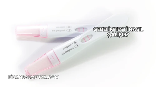 Gebelik Testi Nasıl Çalışır?