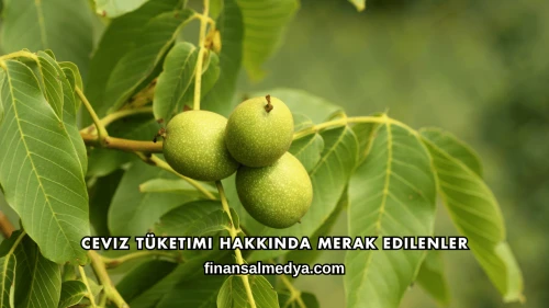 Ceviz Tüketimi Hakkında Merak Edilenler