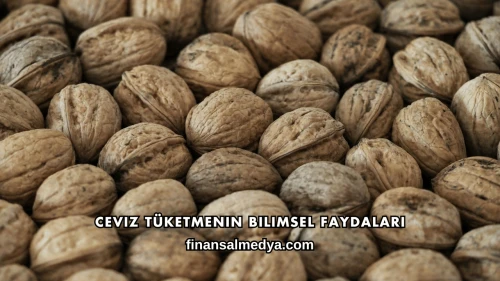 Ceviz Tüketmenin Bilimsel Faydaları